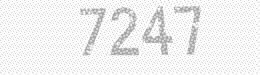Visual security code — type the characters shown in the image